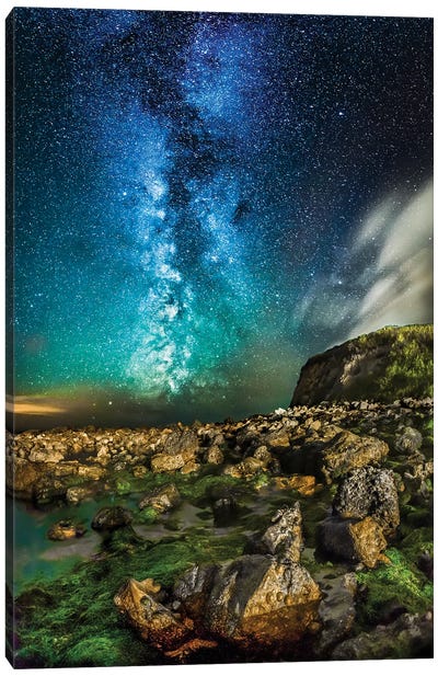 A Place To Think Canvas Art Print - Stargazers