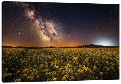 The Fields Of May Canvas Art Print - Milky Way Galaxy Art