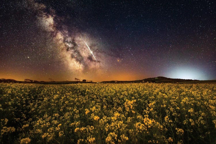 The Fields Of May by Chad Powell wall art
