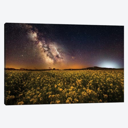 The Fields Of May Canvas Print #CPW42} by Chad Powell Art Print
