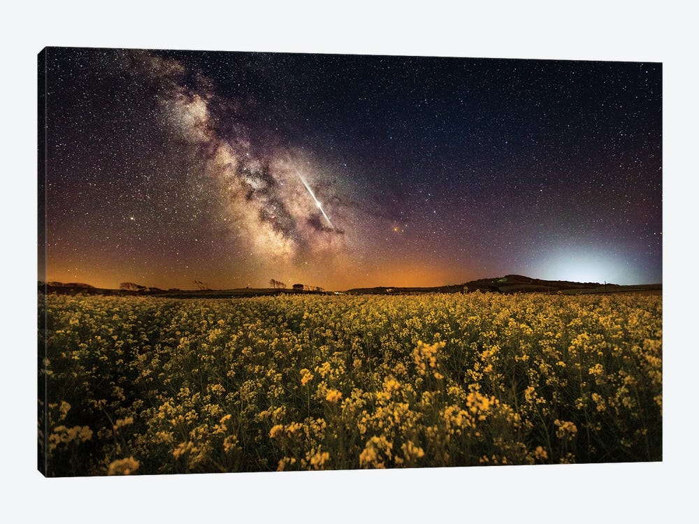 The Fields Of May by Chad Powell 1-piece Canvas Print