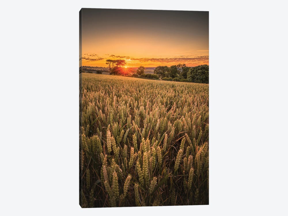 Wheat Field Sunset - Brading by Chad Powell 1-piece Canvas Artwork