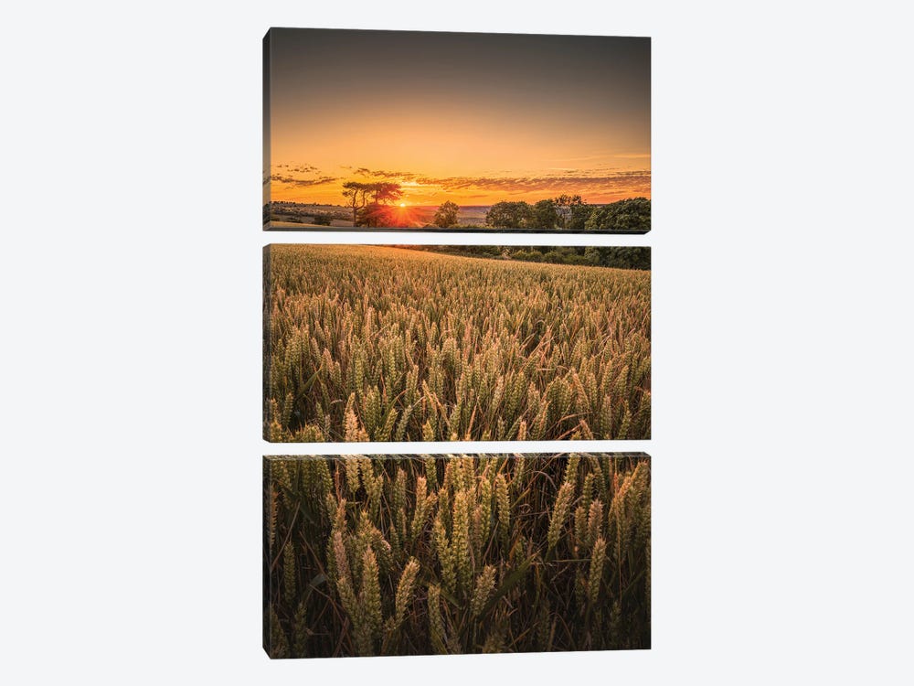 Wheat Field Sunset - Brading by Chad Powell 3-piece Canvas Wall Art