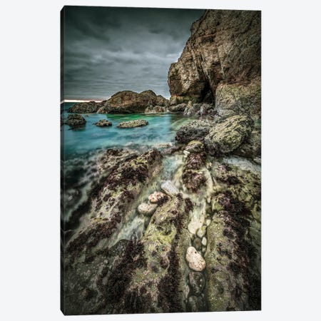 Rock Pools Freshwater Bay Canvas Print #CPW4} by Chad Powell Canvas Art