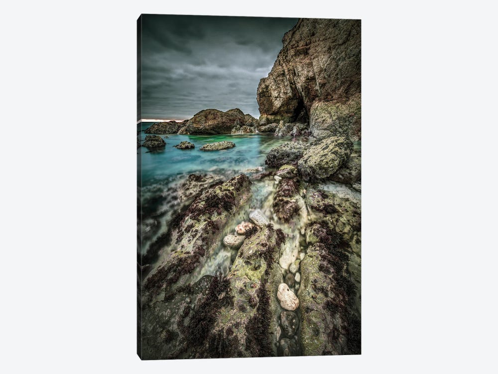 Rock Pools Freshwater Bay by Chad Powell 1-piece Canvas Print