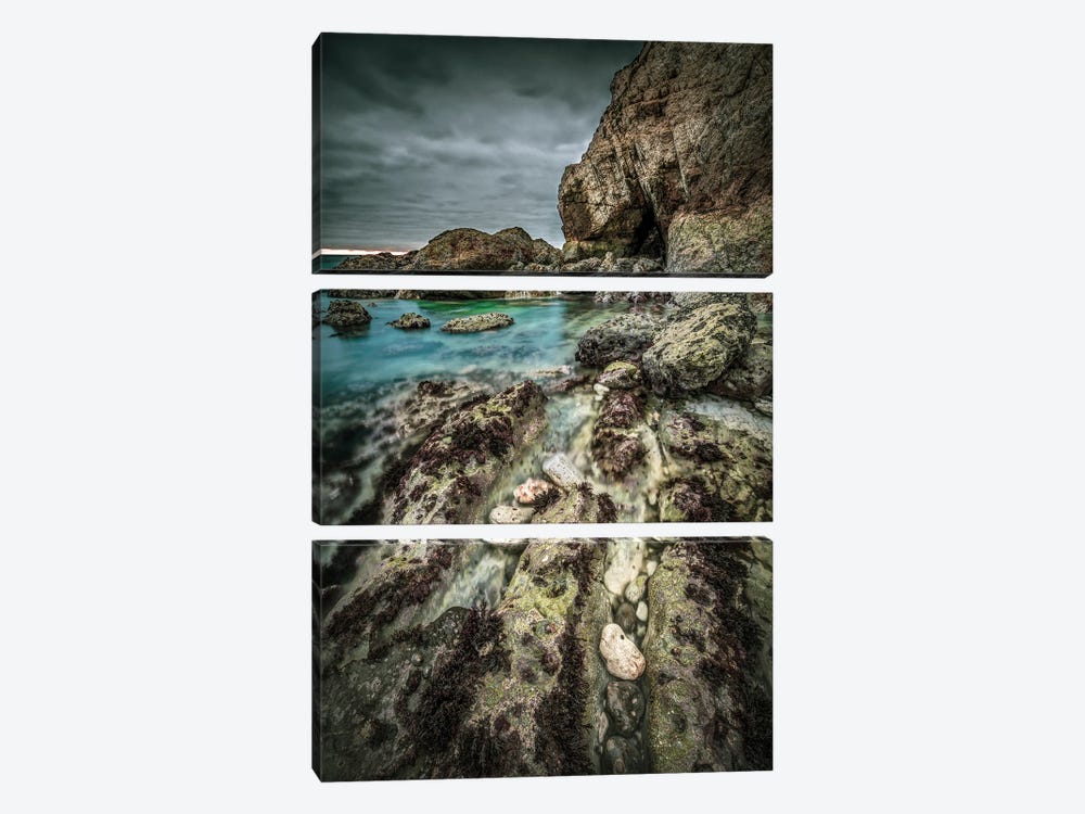 Rock Pools Freshwater Bay by Chad Powell 3-piece Art Print