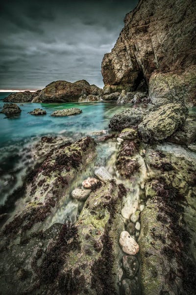 Chad Powell: Rock Pools Freshwater Bay by Chad Powell