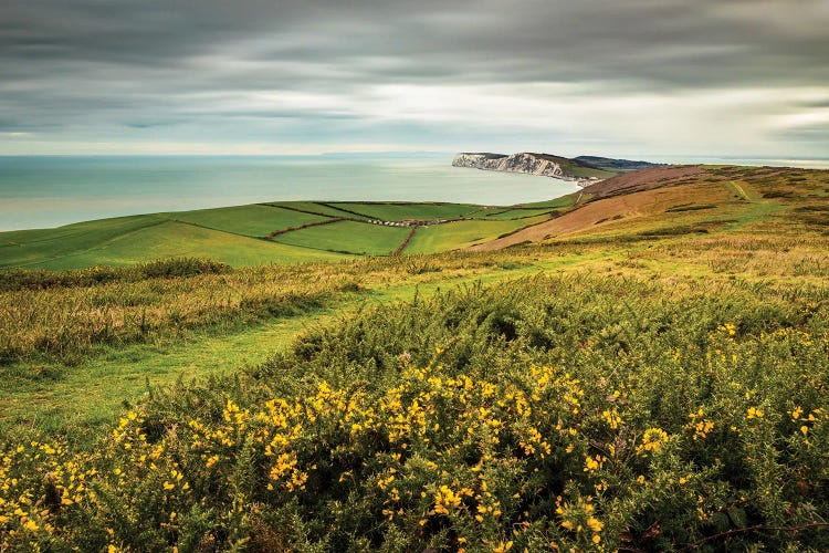Tennyson Trail by Chad Powell wall art