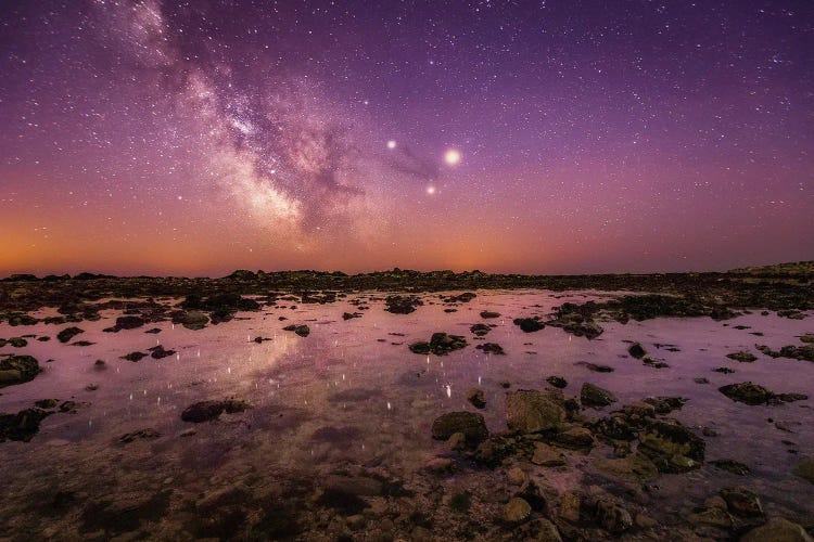The Rock Pools Of Castle Cove by Chad Powell wall art
