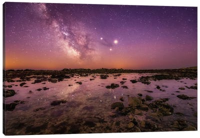 The Rock Pools Of Castle Cove Canvas Art Print - Chad Powell