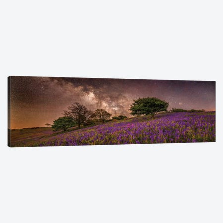 Purple Dreams Panoramic Canvas Print #CPW73} by Chad Powell Canvas Artwork