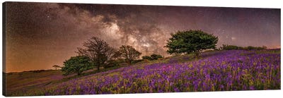 Purple Dreams Panoramic Canvas Art Print - Galaxy Art