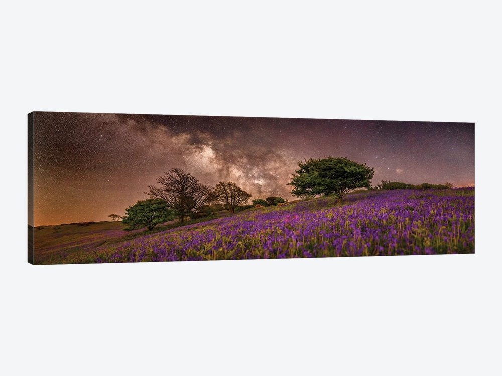Purple Dreams Panoramic by Chad Powell 1-piece Canvas Art Print
