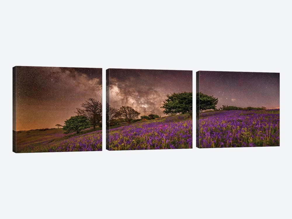 Purple Dreams Panoramic by Chad Powell 3-piece Canvas Print