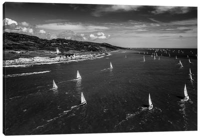 A Fleet Of Yachts Sailing Past St Catherine's Lighthouse Canvas Art Print