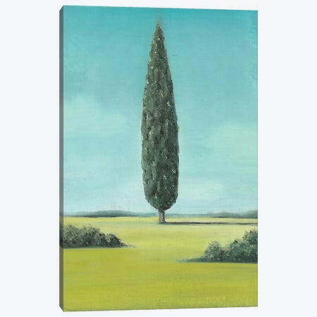 Cypress Canvas Print #CPX19} by Charlotte P. Art Print
