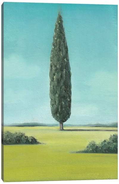 Cypress Canvas Art Print - Cypress Tree Art