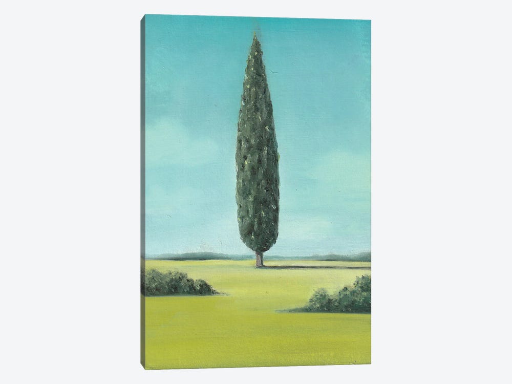 Cypress by Charlotte P. 1-piece Canvas Art Print