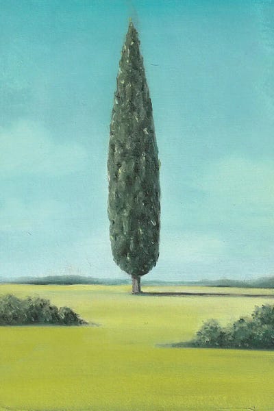 Cypress Trees: Cypress by Charlotte P.