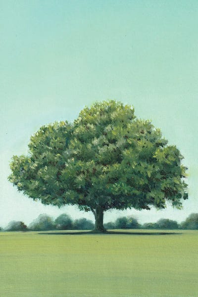 Holm Oak by Charlotte P. framed canvas print
