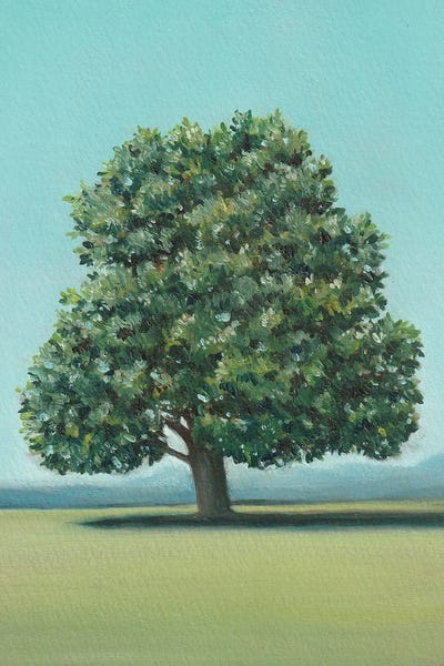 Linden Tree by Charlotte P. framed canvas print