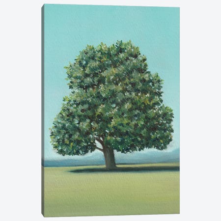 Linden Tree Canvas Print #CPX22} by Charlotte P. Canvas Art