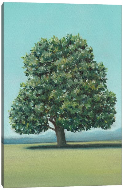 Linden Tree Canvas Art Print - Charlotte P