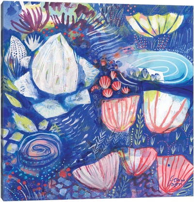 A Coral Song II Canvas Art Print - Corina Capri