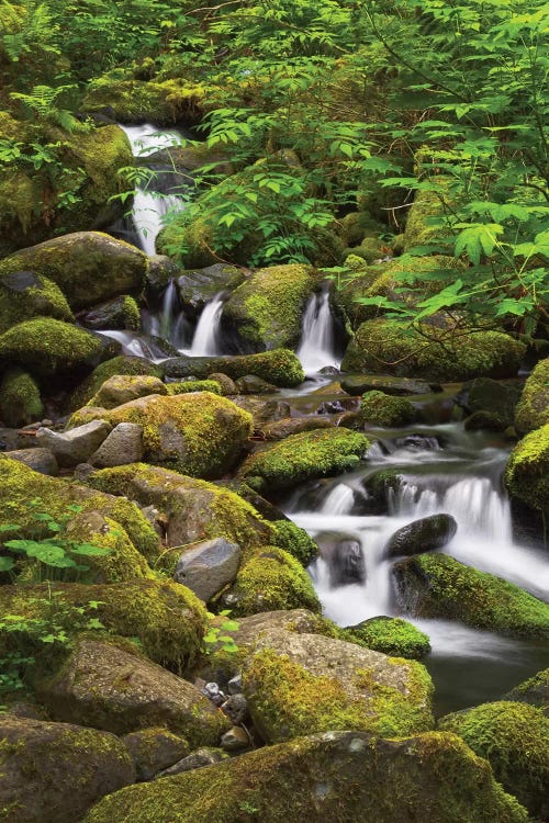 USA, Oregon, Hood River. A waterfall on Tish Creek.