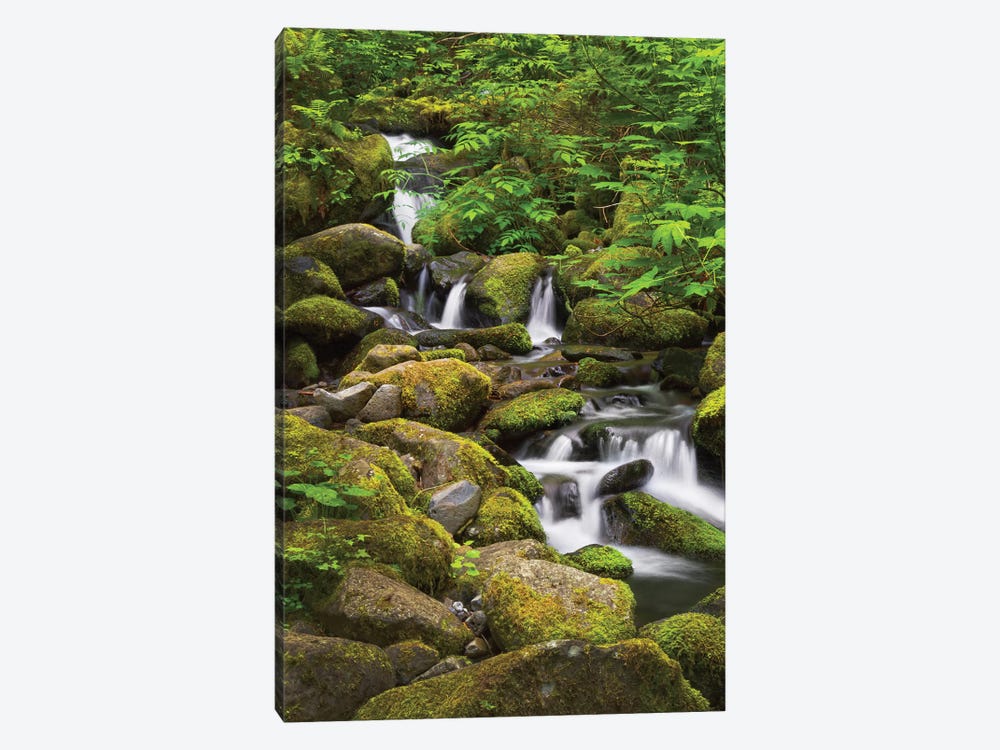 USA, Oregon, Hood River. A waterfall on Tish Creek. by Christopher Reed 1-piece Canvas Art Print
