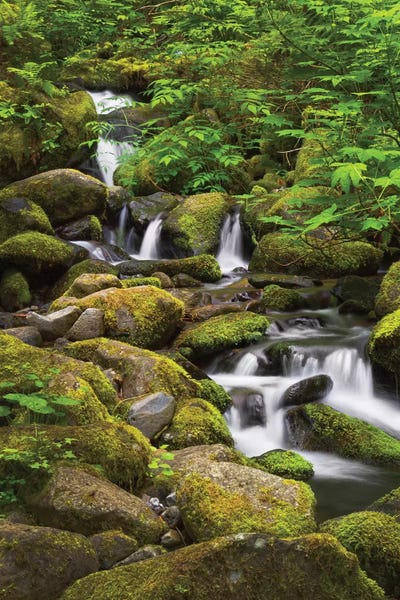 USA, Oregon, Hood River. A waterfall on Tish Creek.