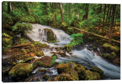 USA, Oregon, Prospect. Pearsony Falls near the Prospect State Scenic Viewpoint. Canvas Art Print