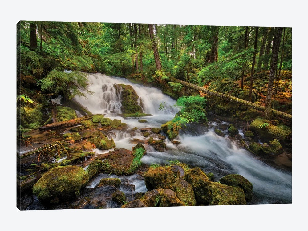 USA, Oregon, Prospect. Pearsony Falls near the Prospect State Scenic Viewpoint. by Christopher Reed 1-piece Canvas Art