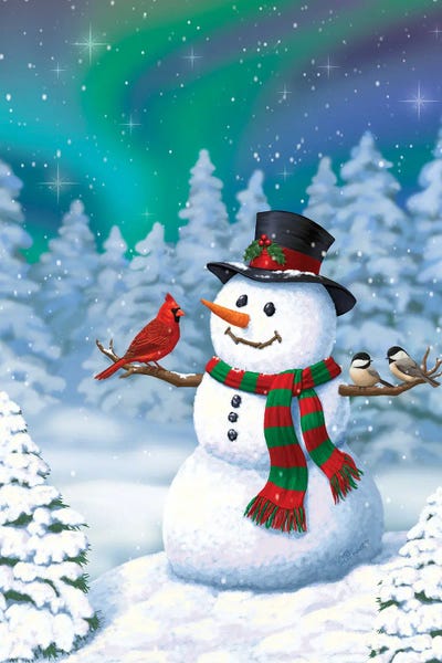 Snowscapes: Sharing The Wonder by Crista Forest