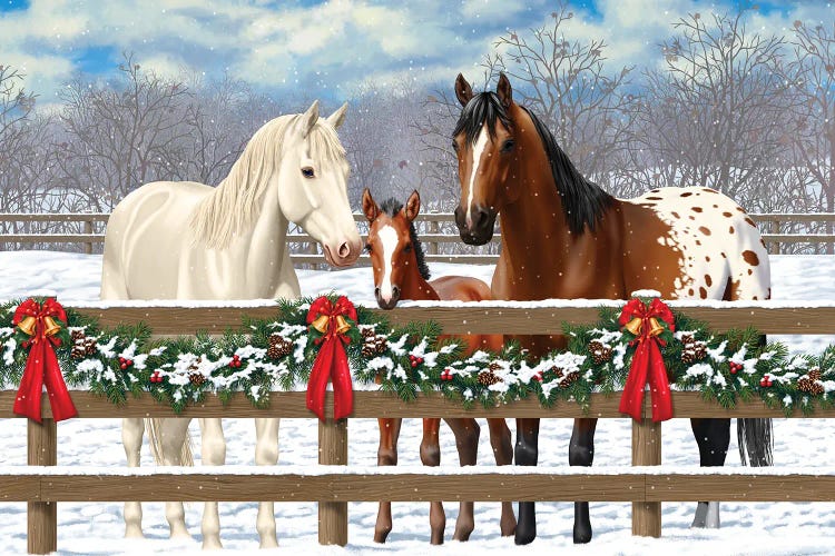Horse Family-White Christmas by Crista Forest canvas print