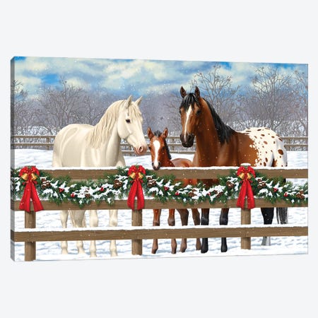 Horse Family-White Christmas Canvas Print #CRF4} by Crista Forest Canvas Art