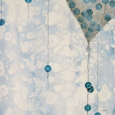 Captured II by Robert Charon framed wall art