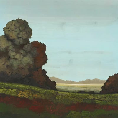 Distant Meadow I by Robert Charon framed wall art