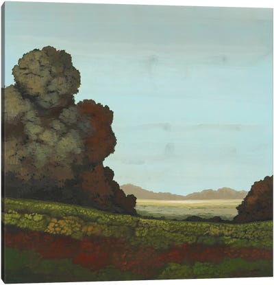 Distant Meadow I Canvas Art Print - Robert Charon