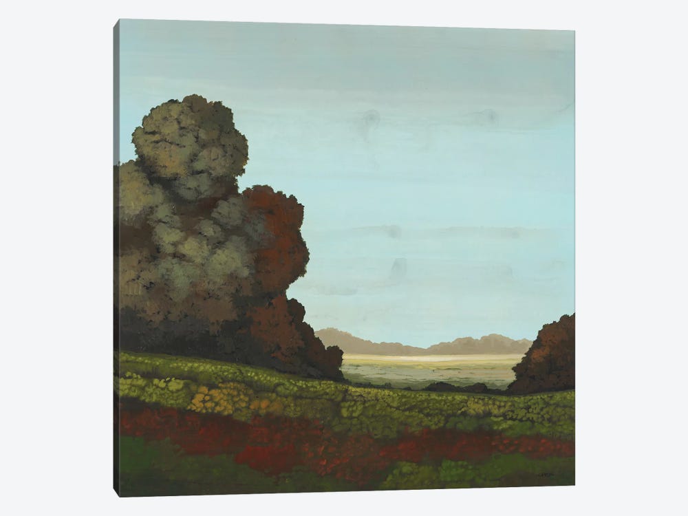 Distant Meadow I by Robert Charon 1-piece Canvas Wall Art