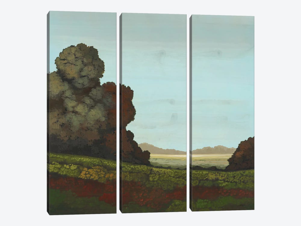 Distant Meadow I by Robert Charon 3-piece Canvas Artwork