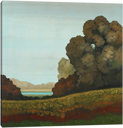 Distant Meadow II Canvas Art Print - Robert Charon