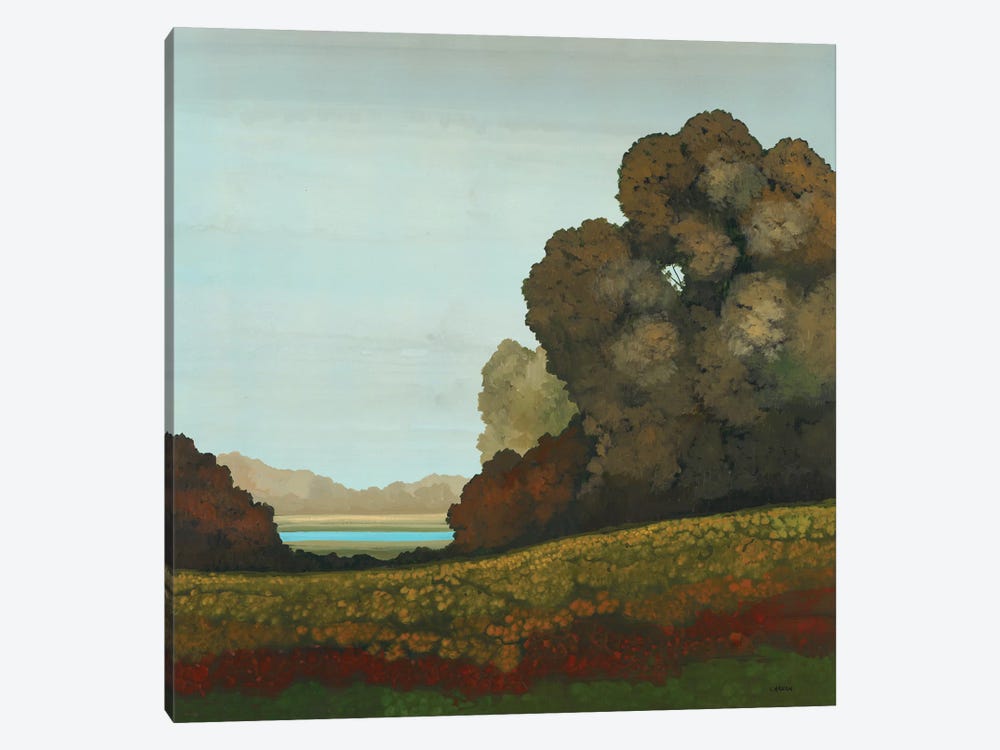 Distant Meadow II by Robert Charon 1-piece Canvas Print