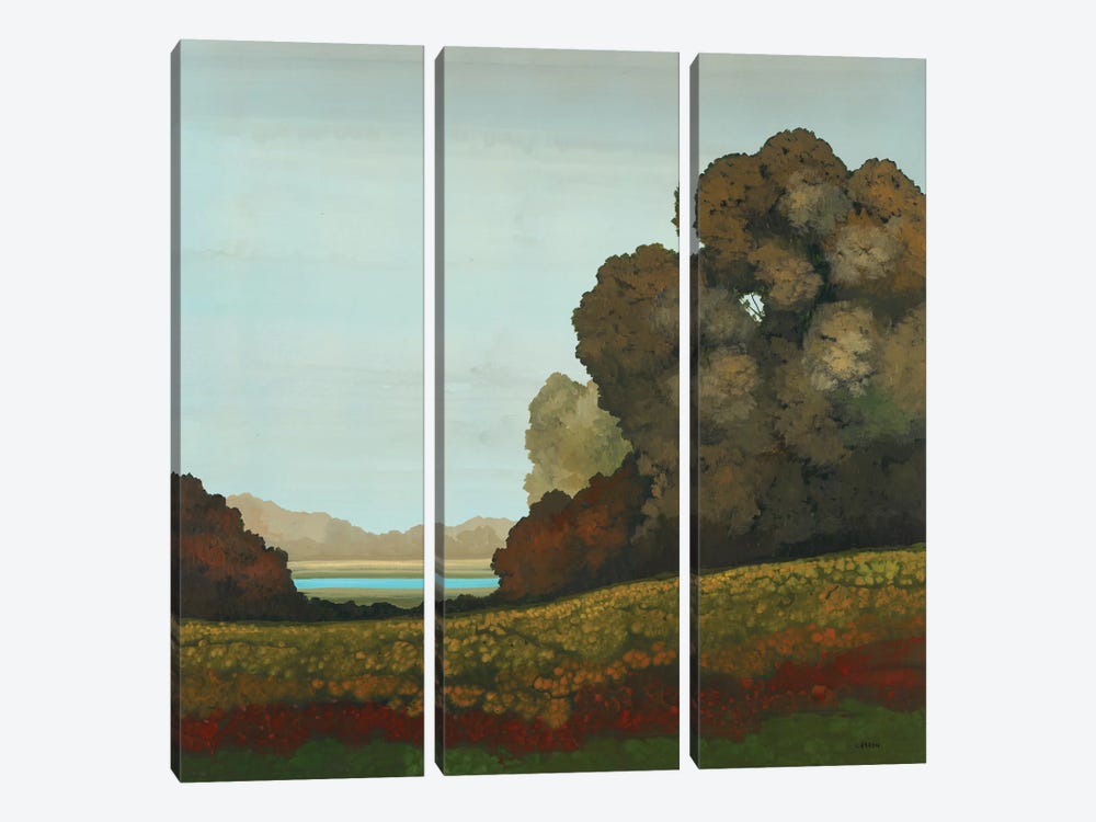 Distant Meadow II by Robert Charon 3-piece Canvas Art Print