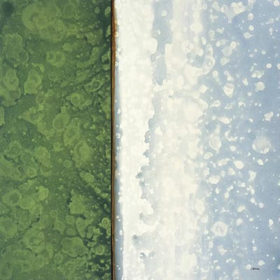 Jade by Robert Charon framed wall art