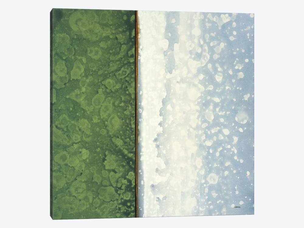 Jade by Robert Charon 1-piece Canvas Print