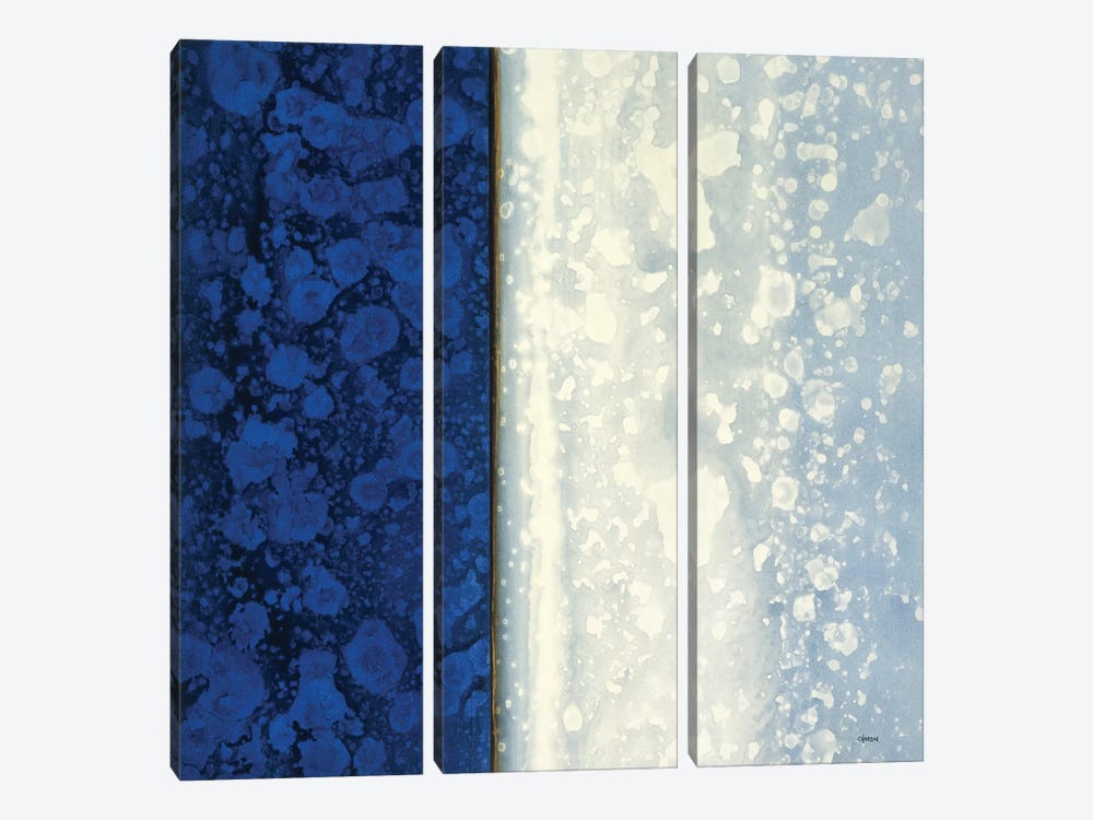 Lapis by Robert Charon 3-piece Canvas Wall Art
