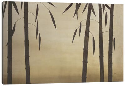 Bamboo Grove I Canvas Art Print - Robert Charon