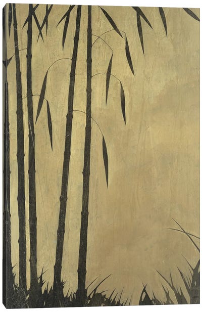 Bamboo Grove II Canvas Art Print - Robert Charon