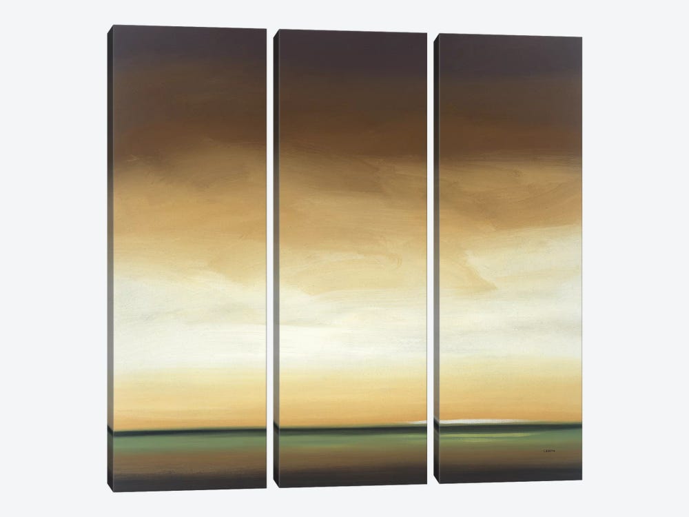 Distant Glow IV  by Robert Charon 3-piece Canvas Artwork